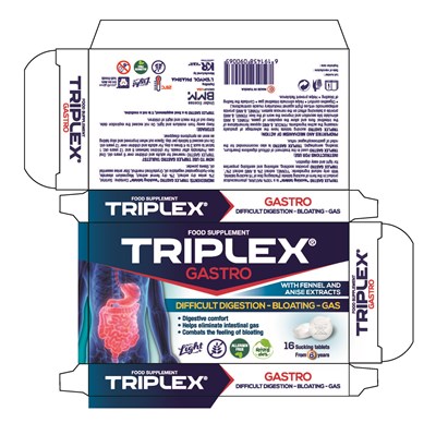 l - PACK TX GASTRO AN